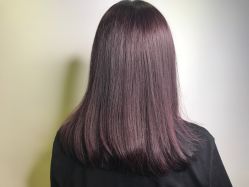 -V-STAR威斯达•高级私人定制