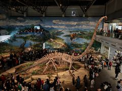 -自贡恐龙博物馆