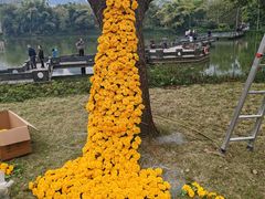 -明仕田园