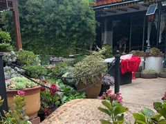 -山菌美食苑(振兴路店)