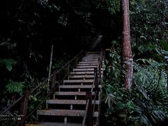 -武吉知马自然保护区