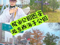 -西海子公园