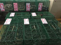 -荔城生鲜盛宴(番禺旗舰店)
