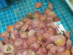 -和源祥·日照菜扛把子(万平口一店)