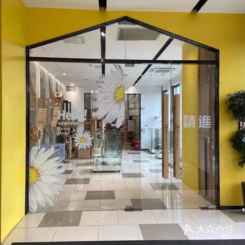 环境超好的猫咪宠物店！！