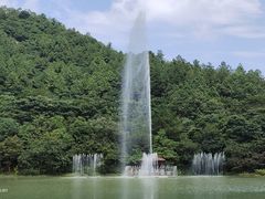 -广州白江湖森林公园