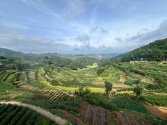 -乌石村