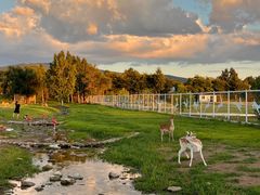 -五营红松林海景区