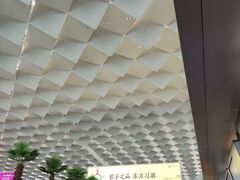 -郑州新郑国际机场-T2航站楼
