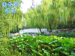 -南长河公园