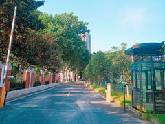 -武汉市第四中学