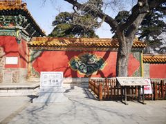 -沈阳市东陵公园