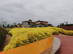 -抚仙湖禄充风景区