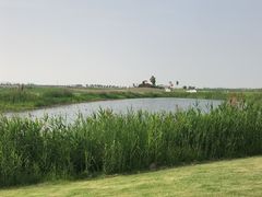 -洪湖湿地生态园