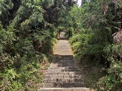 -紫鹊界梯田景区