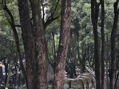 -重庆市江北嘴中央商务区中央公园