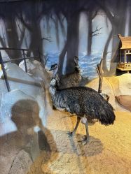 -酷嗒动物文化乐园(cutezoo西溪乐天城店)