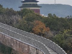 -黄贤森林公园