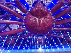 -蟹之国·精品蟹料理(极地店)