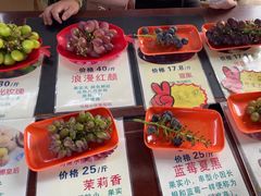 -马陆小张葡萄园农家乐