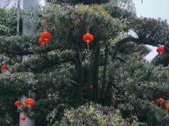 -绳金塔