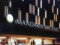 -新加坡乌节希尔顿酒店 (SG Clean)