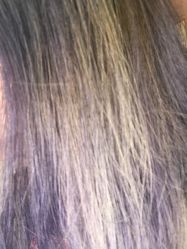 烫染-美奇丝私人定制