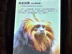 -广州长隆野生动物世界