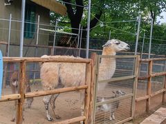 -昆明动物园