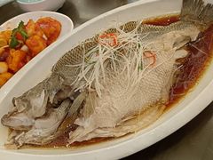 -鸿运楼烤鸭店(天桥店)