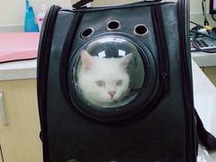 -美联众合动物医院·24h京西诊疗中心