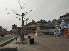 -青岛方特梦幻王国