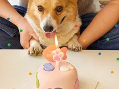 -好利来(团结湖店)