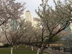 -西北湖绿化广场