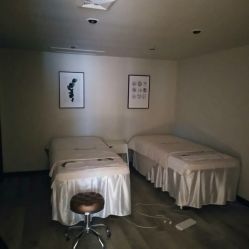 -三只熊皮肤管理中心旗舰店