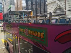 -Big Bus Tours 敞篷观光巴士