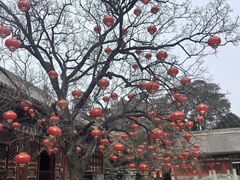-香山公园-东宫门售票处