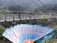 -木兰云雾山