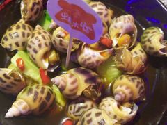 -蛙来哒(华隆步步高店)