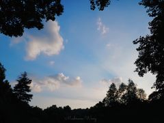 -杭州植物园