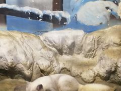 -顺德南宏海立方海洋公园