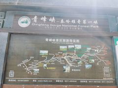 -青峰峡国家森林公园