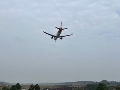-空港花田景区