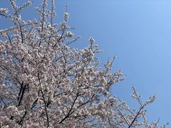 -一板铁板烧·隐秘一线江景花园餐厅(西湖左岸·天元店)