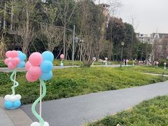-神仙树公园