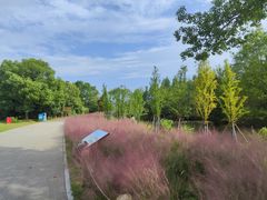-梁鸿国家湿地公园