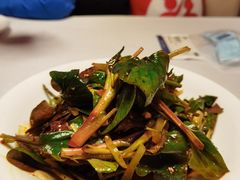 凉拌折耳根-巴蜀风月·聚会团建·生日宴(宝安店)