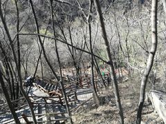 -大岭沟猕猴桃谷风景区