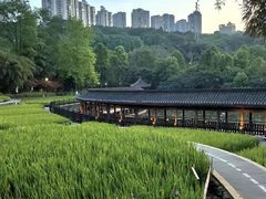-龙头寺公园