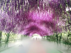 -常州淹城野生动物世界